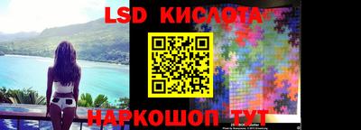 СК Новозыбков