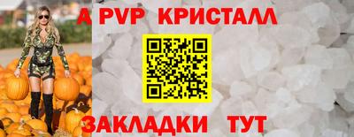СК Новозыбков