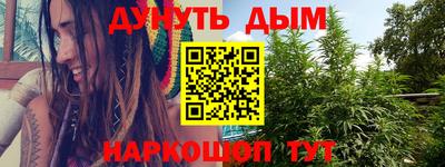 СК Новозыбков