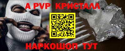 СК Новозыбков