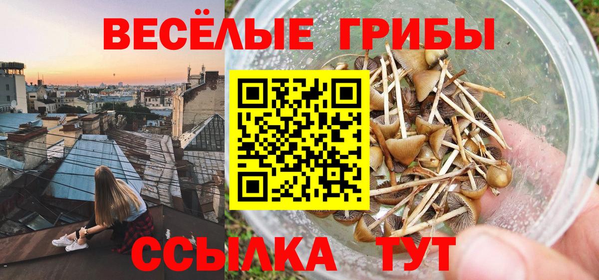 Галлюциногенные грибы Magic Shrooms  Галлюциногенные грибы Magic Shrooms  где купить наркоту  Рязань  Вход с VPN 