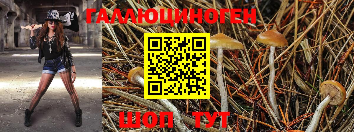 Галлюциногенные грибы Cubensis Рязань